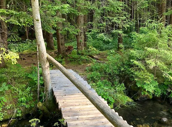 Pribisko 651 בקתה זוברץ