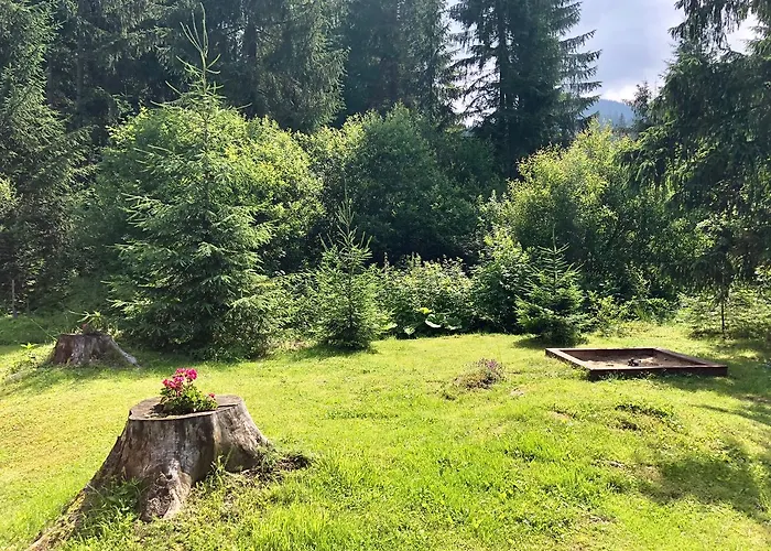 Pribisko 651 בקתה *